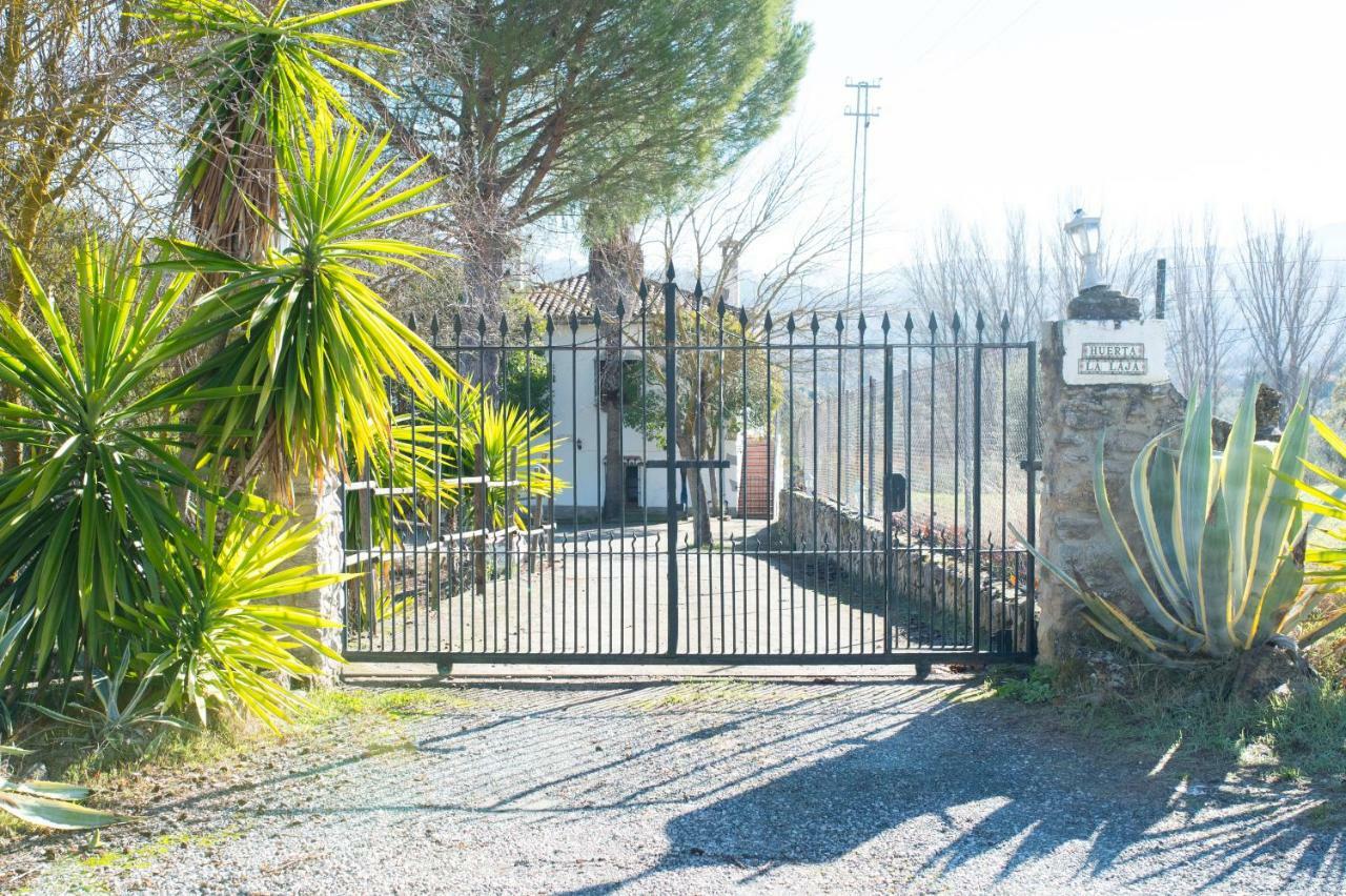 Apartamento Rural Cristi Ronda Dış mekan fotoğraf